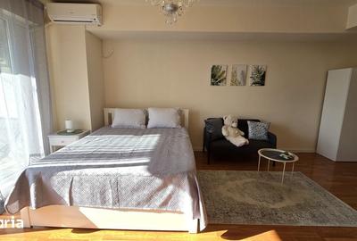 Garsonieră în Ozana - 2