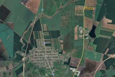 Teren agricol extravilan de 87500 mp, în Sânandrei - 2