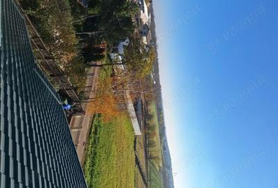 Teren de 460 mp, în Dascălu - 7