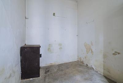 Spațiu comercial, de 580 mp, în P-ța Romană - 28