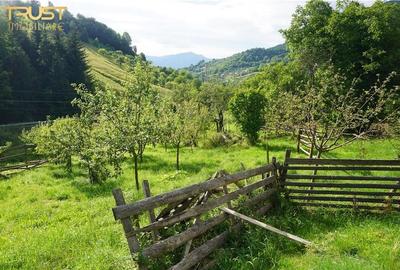 Casa, anexe, teren, gradina, livada - 10