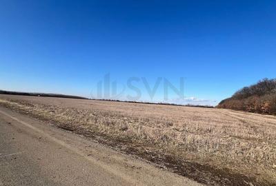 REL4000892 Corbeana - Ostratu 15200 mp langa padure - 1