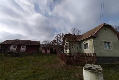 Casă cu 2 camere în Ceanu Mare - 4