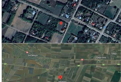 Casa si teren-Comuna Dor Marunt-Jud Calarasi - 1