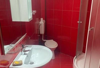 3 camere 6 paturi  parcul Carol  | Unirii | Filaret | Cosbuc - 10