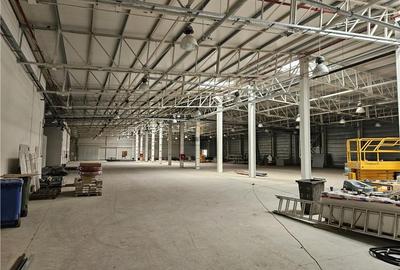 Spațiu industrial, de 2,700 mp, în Vest - 5