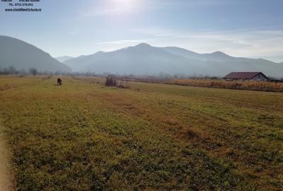 Teren de 2646 mp, în Alexandru cel Bun