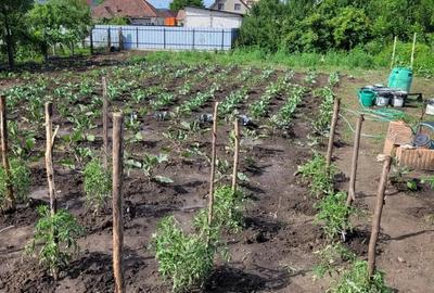 Casă în Central - 6