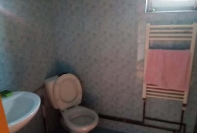 Casă cu 4 camere în Lunca Cetățuii - 3