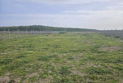 Teren de 780 mp, în Exterior Vest - 4