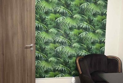 Apartament cu 3 camere decomandat, mobilat în Gheorghe Doja - 2