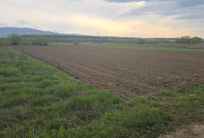 Teren agricol extravilan de 900 mp, în Mohu - 1