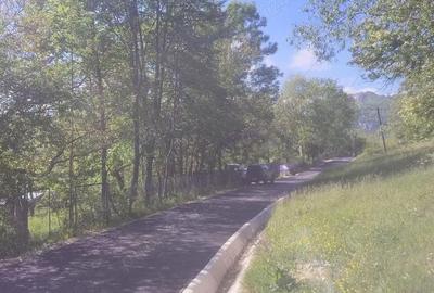 Teren de 6800 mp, în Polovragi