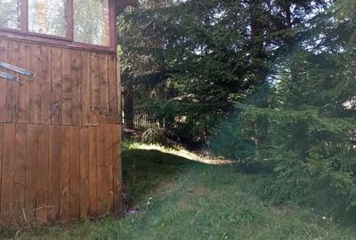 Casă cu 4 camere în Muntele Băișorii - 6