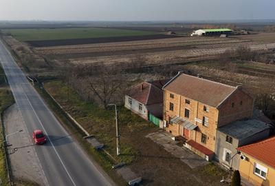 Casă individuală cu 8 camere cu Canalizare în Periam - 3