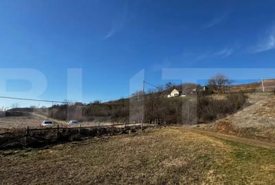 Teren în Vințu de Jos - 3