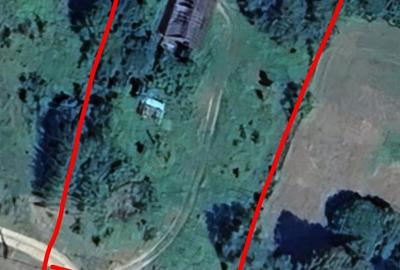 Teren de 3000 mp, în Sucevița - 5