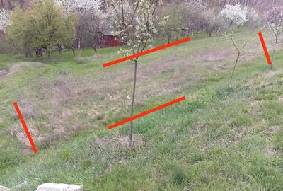 Teren de 950 mp, în Central - 8