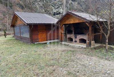 Casă cu Teren 800 Mp în Râu Sadului - 15