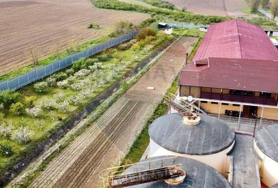 Crama din Buciumeni Afacere la cheie - 14