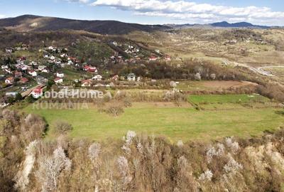 23.345 SQM - Exclusive Estate - Mountain Plateau | Jud. Prahova - Valea Prahovei - 1