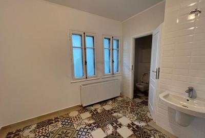 Vila superba Parcul Ioanid Vila superba Parcul Ioanid - 18