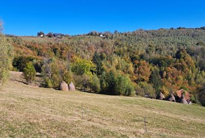 Teren extravilan in localitatea Bulz - 15