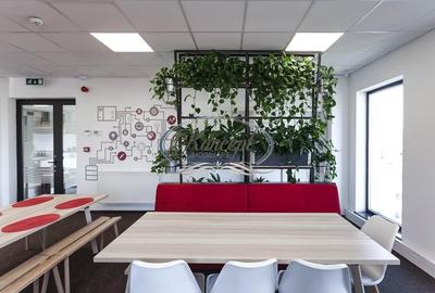 Spatiu de birou premium in cartierul Marasti - 5