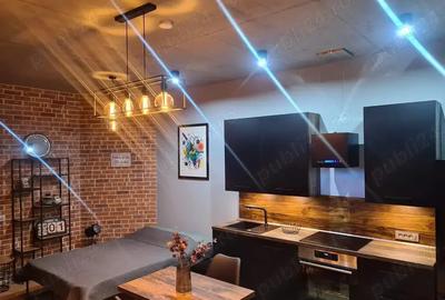 Vand Studio la Loft Green Apartment Mogo?oaia - 6