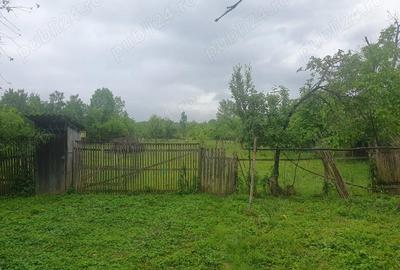 Casă cu 3 camere cu Teren 3000 Mp în Vărzari - 1