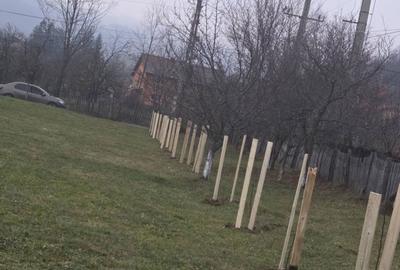 Spațiu comercial, în Lunca Mare - 5