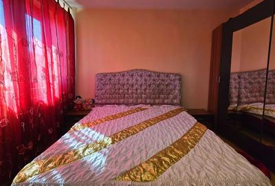 Vila ta aproape de natura – 8 camere, Lacul Pasarea - 48