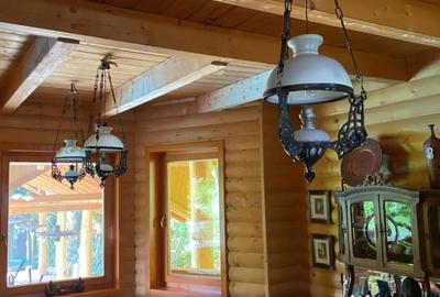 Casă cu 7 camere cu Teren 17000 Mp în Cărbunari - 1