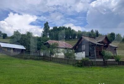 Teren de 36000 mp, în Central - 7