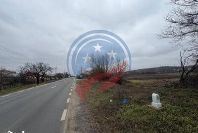 Teren de 1318 mp, în Coțofenii din Față - 3