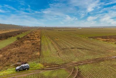 Teren Construcții intravilan de 5040 mp, în Săbăreni - 1