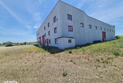 Spațiu comercial, de 40,000 mp, în Șagu - 7