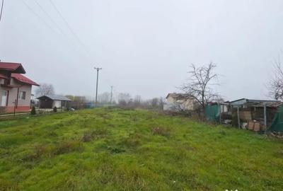 Teren de 1370 mp, în Ciorogârla - 8