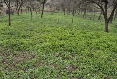 Spațiu comercial, în Luna - 6