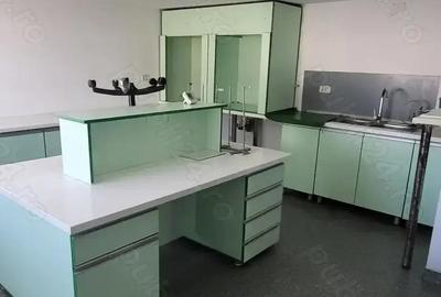 Spatiu de inchiriat Calea Stan Vidrighin - 13