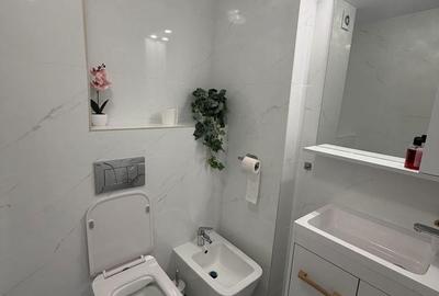 Apartament cu 2 camere decomandat, mobilat în Herăstrău - 19