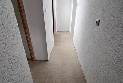 RECO, casa in Sinteu, aproape de Huta Slavia - 6