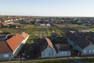 Teren in Curtici, Jud.Arad - 20