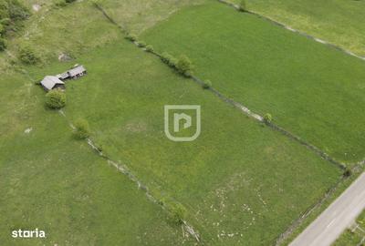 Spațiu comercial, în Pleșa - 4