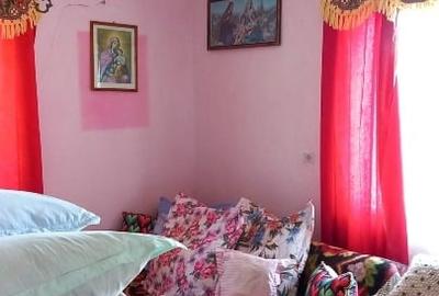 Casă individuală cu 3 camere cu Teren 15554 Mp în Central - 5