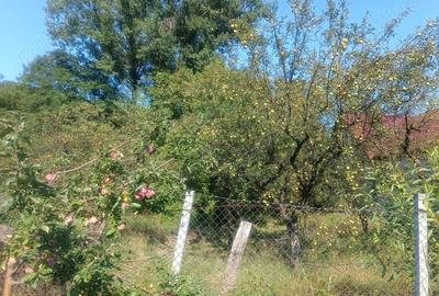 Vand casa cu curte(261m3) +gradina (781m3) Vand casa cu curte(261m3) +gradina (781m3) - 6