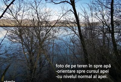 Teren de 2400 mp, în Merișani - 1