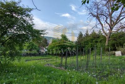 Casa alipita de vanzare | Gruia | Teren 890mp - 11