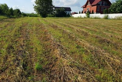 Teren Construcții intravilan de 3399 mp, în Dărăști-Vlașca - 1