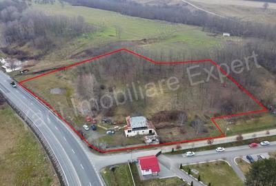 Teren de 10141 mp, în Dedulești - 9